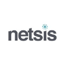 Netsis Technology logo