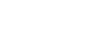 ViSenze logo